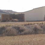 Palomar de Victor Gallardo Tejido
