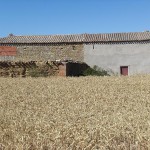 Palomares de Gregorio Pérez García y Manuel Terradillos Bustillo